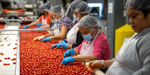 Mengapa Sampah dari Industri Makanan Berbahaya bagi Lingkungan?