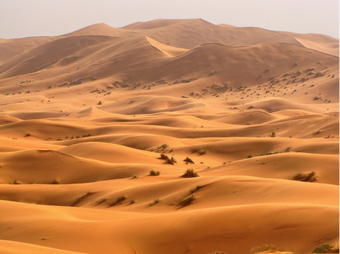 Foto Gurun Sahara yang Pernah Hijau