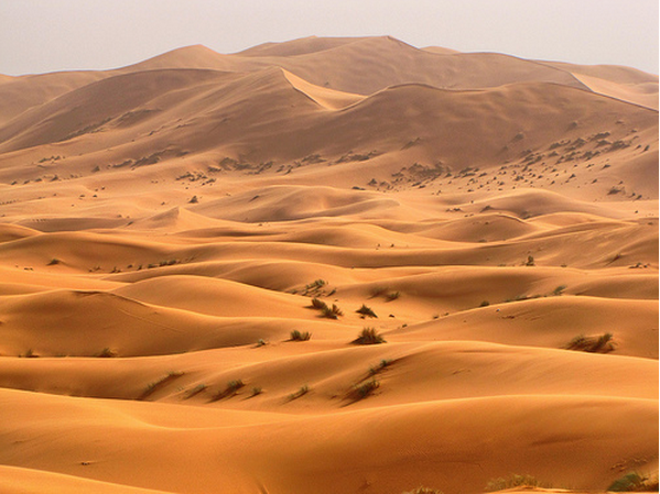 Foto Gurun Sahara yang Pernah Hijau