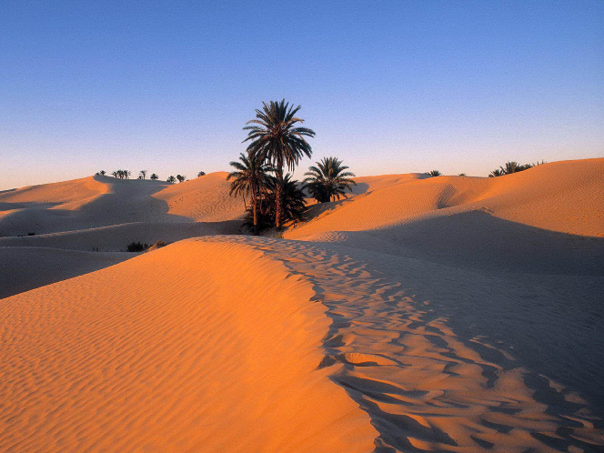 Foto Gurun Sahara yang Pernah Hijau