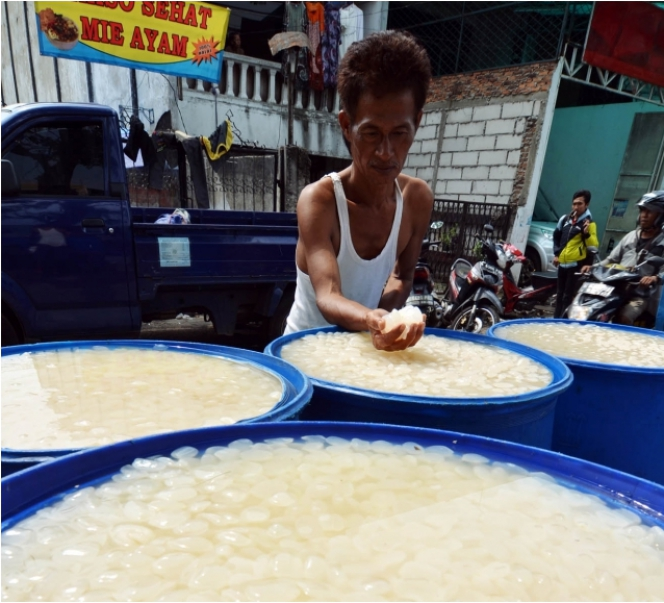 `Berburu` Kolang Kaling