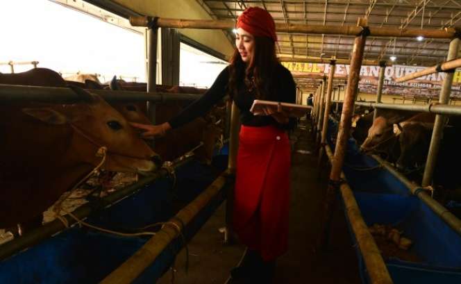 Suka Duka SPG `Sapi` di Depok