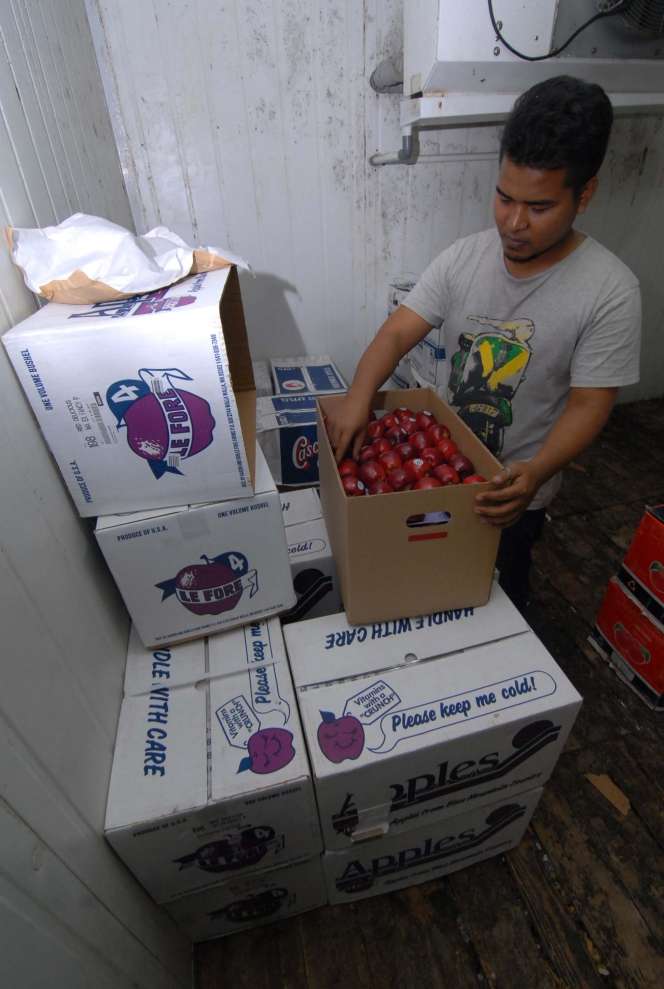 Dampak Bakteri Ganas Apel Amerika
