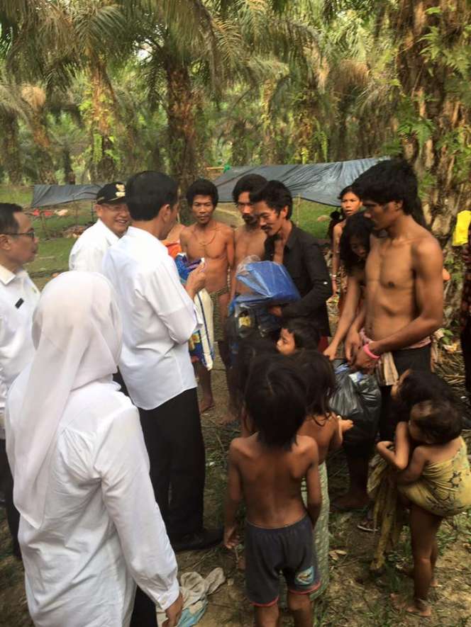 Momen Presiden Jokowi dan `Orang Rimba` Dalam Kamera
