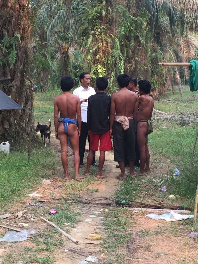 Momen Presiden Jokowi dan `Orang Rimba` Dalam Kamera