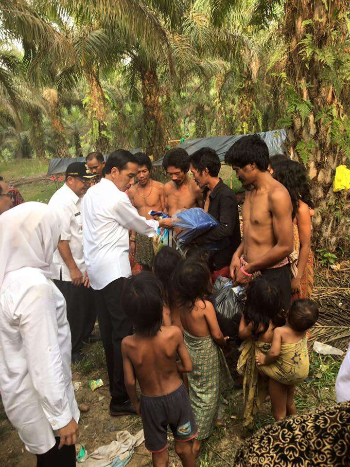 Momen Presiden Jokowi dan `Orang Rimba` Dalam Kamera