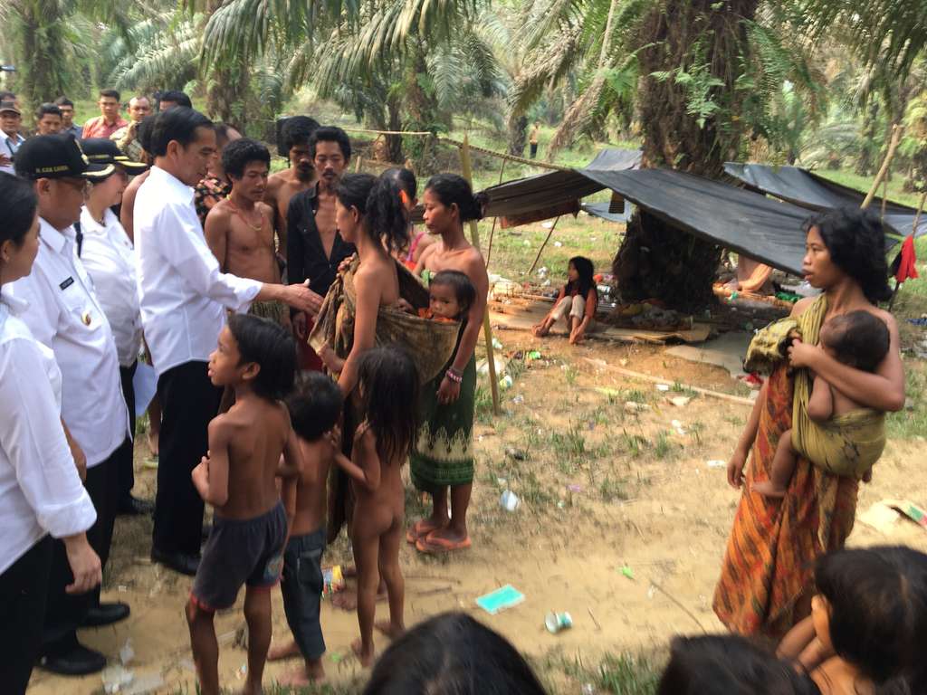Momen Presiden Jokowi dan `Orang Rimba` Dalam Kamera