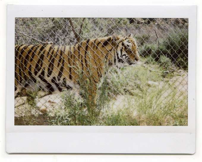 Jepretan `Ajaib` Huey, Bocah 5 Tahun Fotografer Profesional