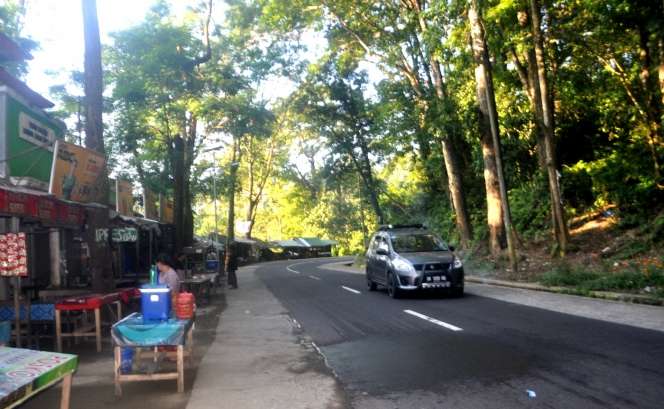 Hutan Pusuk, Surga Tersembunyi dari Lombok