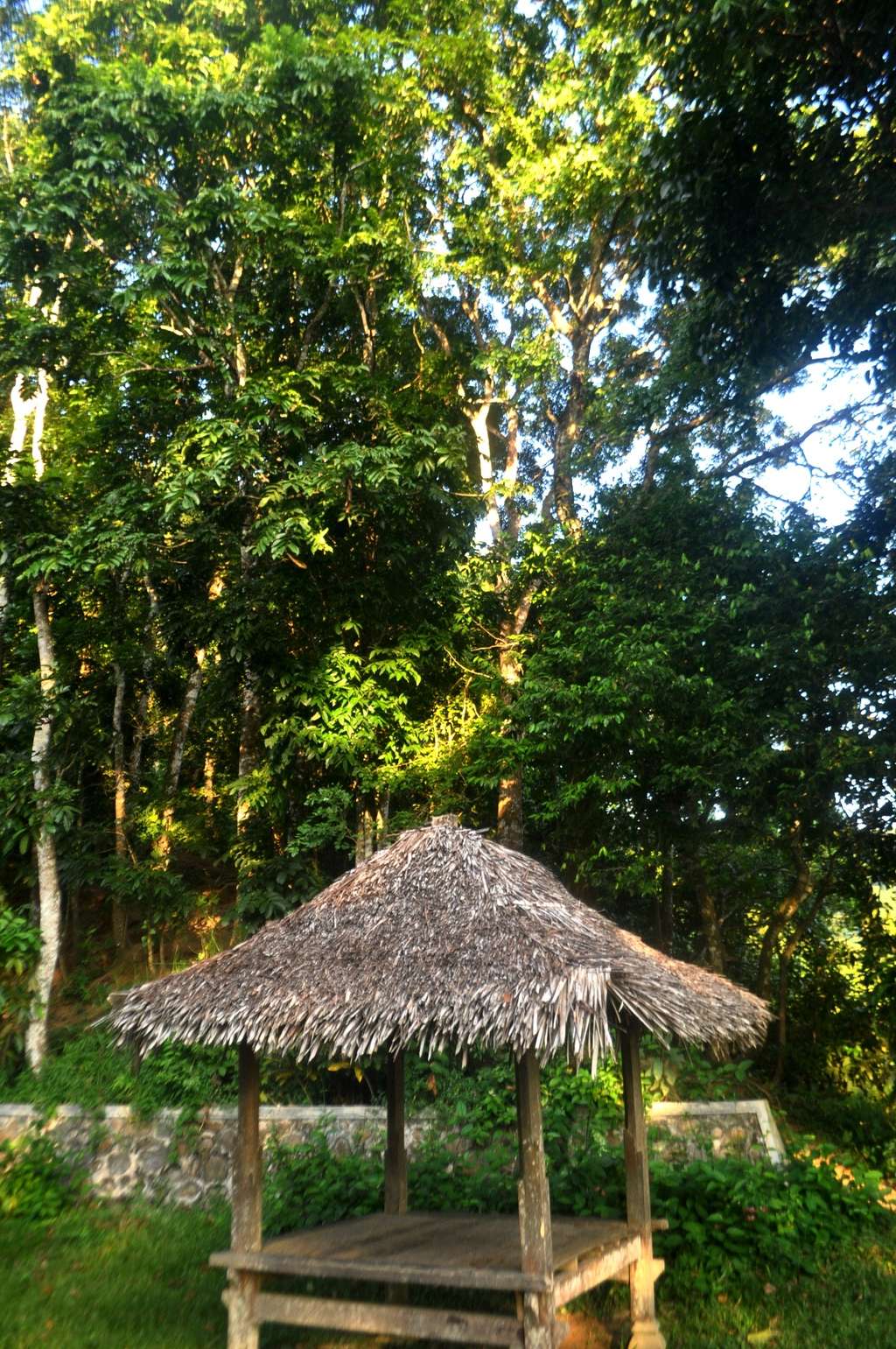 Hutan Pusuk, Surga Tersembunyi dari Lombok