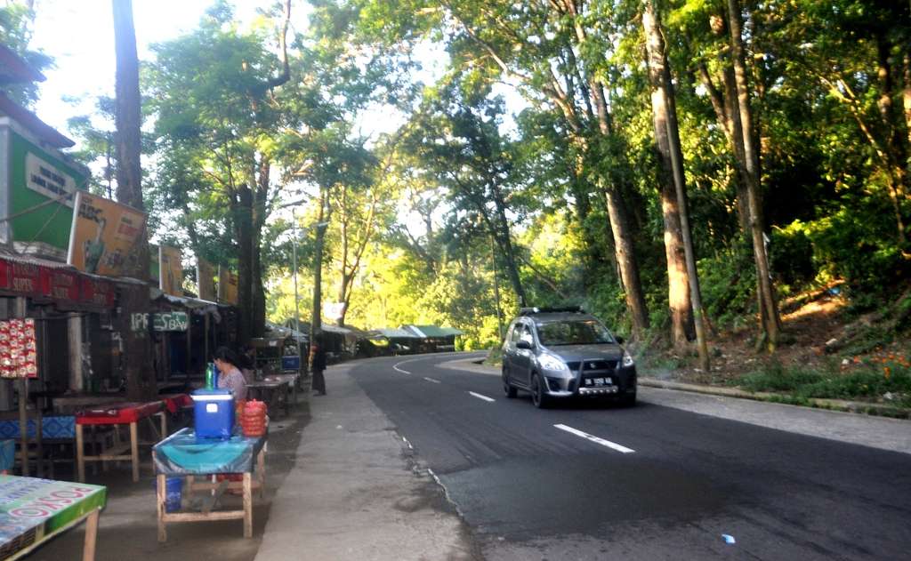 Hutan Pusuk, Surga Tersembunyi dari Lombok