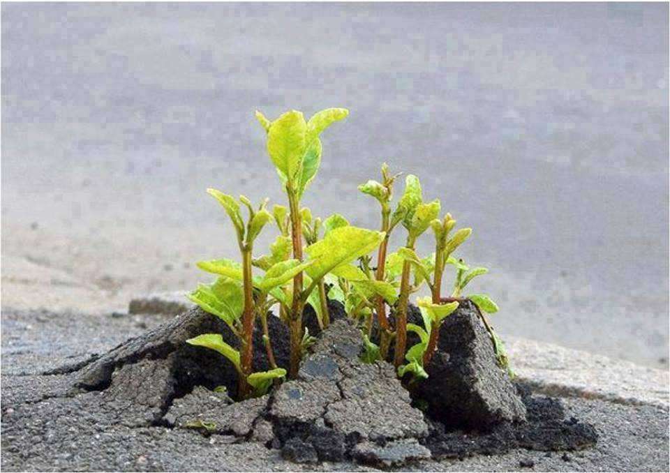 Ini Jadinya Bila Tak Ada Lagi Lahan di Dunia