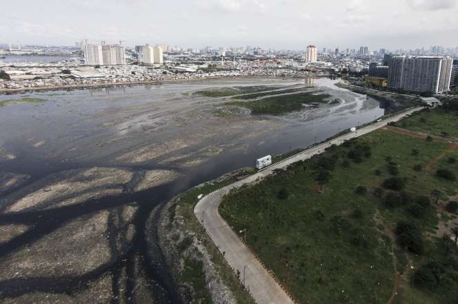 `Pulau Sampah` di Waduk Pluit