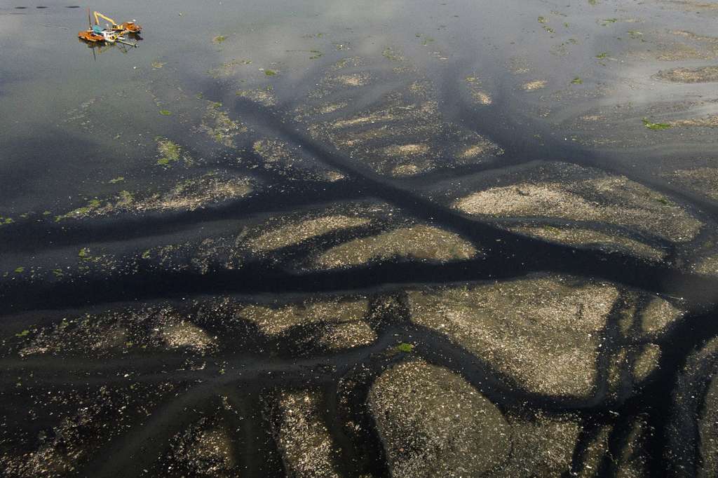 `Pulau Sampah` di Waduk Pluit