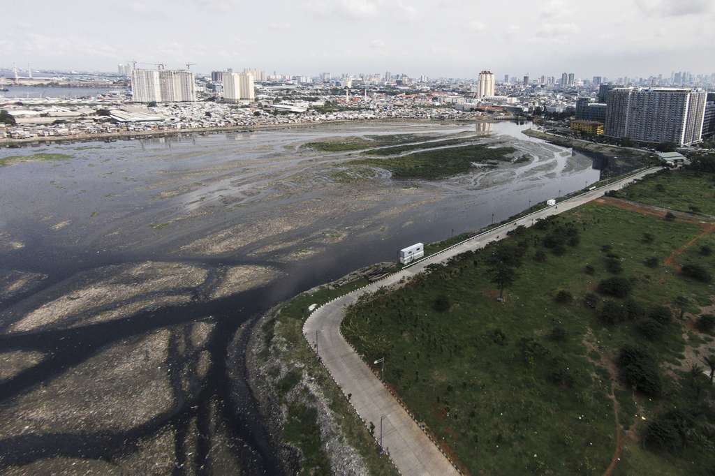`Pulau Sampah` di Waduk Pluit
