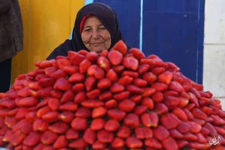 Ranumnya Strawberry di Tanah Palestina