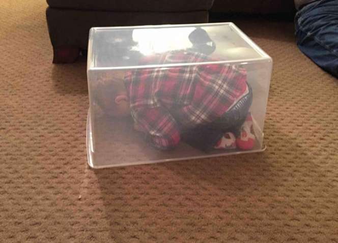 Ini `Jawara-jawara` Petak Umpet, Lucunya...