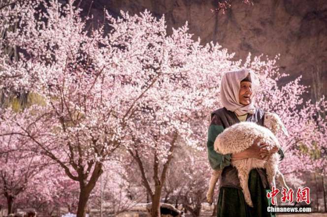Indahnya Musim Semi Muslim Xinjiang