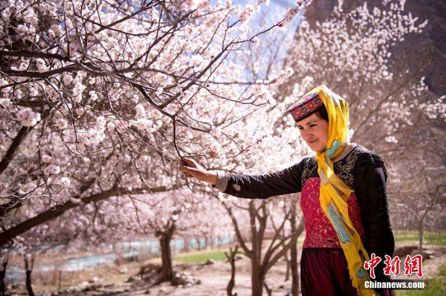 Indahnya Musim Semi Muslim Xinjiang