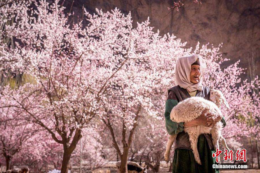 Indahnya Musim Semi Muslim Xinjiang