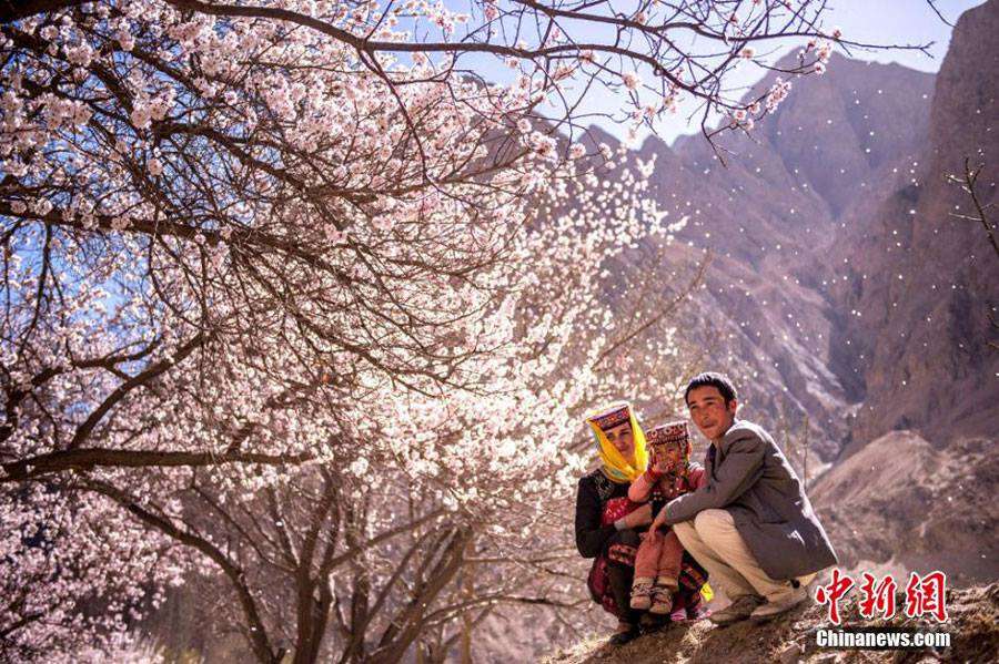 Indahnya Musim Semi Muslim Xinjiang