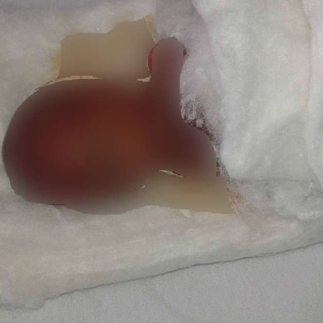 Momen Singkat Kebersamaan Dea Mirella dan Mendiang Buah Hati