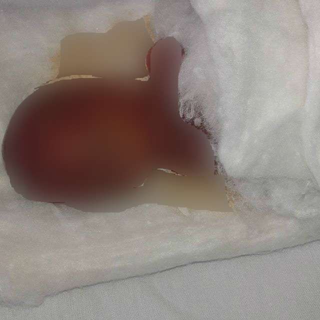 Momen Singkat Kebersamaan Dea Mirella dan Mendiang Buah Hati