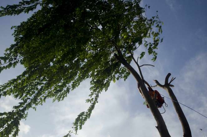 Kegigihan `Pasukan Oranye` Jakarta