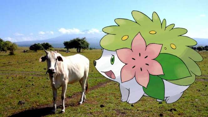 10 Nama dan Lokasi Pokemon Legendaris di Indonesia