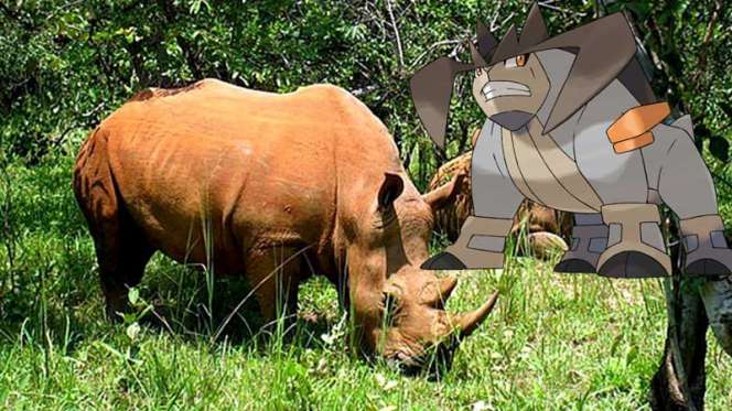 10 Nama dan Lokasi Pokemon Legendaris di Indonesia