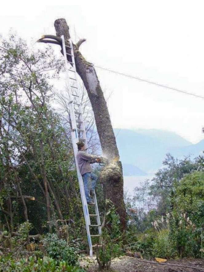 10 'Human Error' Paling Fatal Saat Bekerja