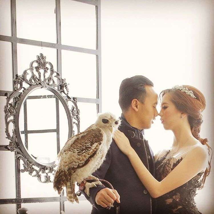 Mewahnya Resepsi Pengantin Tajir Surabaya Berhadiah Apartemen