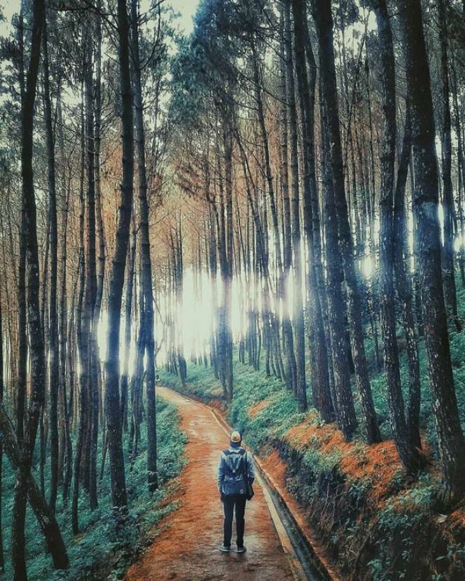 20 Foto Ini Akan Buat Kamu Terinspirasi Jelajah Indonesia