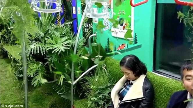 Hutan Dalam Gerbong Kereta Ini Bikin Geger...