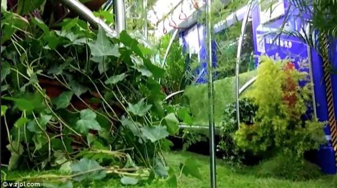 Hutan Dalam Gerbong Kereta Ini Bikin Geger...