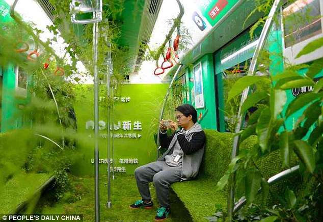 Hutan Dalam Gerbong Kereta Ini Bikin Geger...