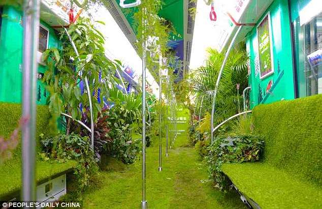 Hutan Dalam Gerbong Kereta Ini Bikin Geger...