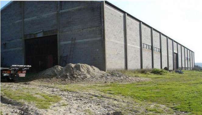 Beli Sebidang Tanah Plus Gudang Tua Diatasnya, Saat Dibuka....