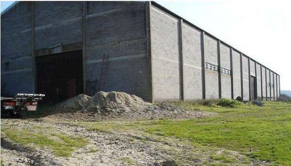 Beli Sebidang Tanah Plus Gudang Tua Diatasnya, Saat Dibuka....