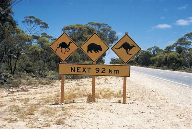 Tekan Pedal Gas, Yuk Jelajahi Alam Liar Australia Barat!