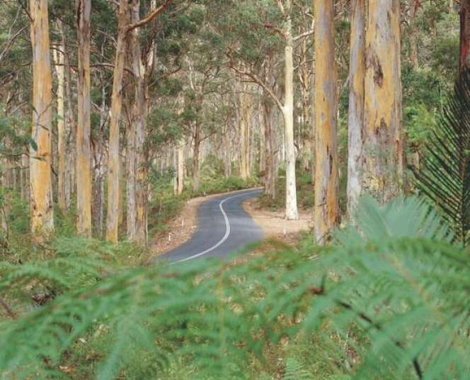 Tekan Pedal Gas, Yuk Jelajahi Alam Liar Australia Barat!