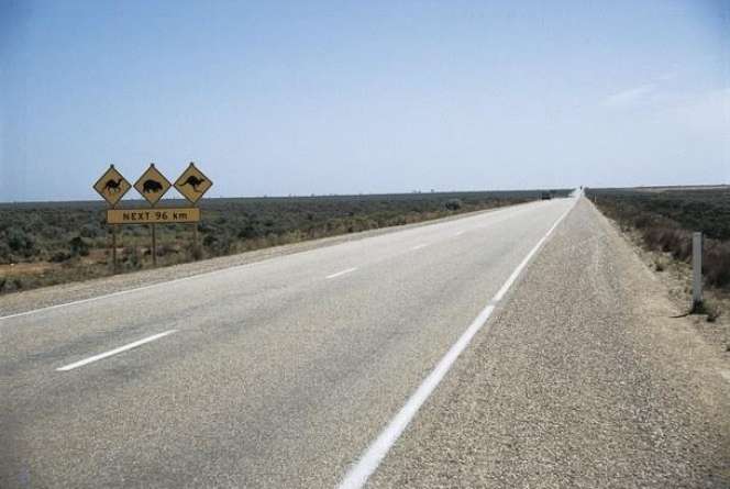 Tekan Pedal Gas, Yuk Jelajahi Alam Liar Australia Barat!