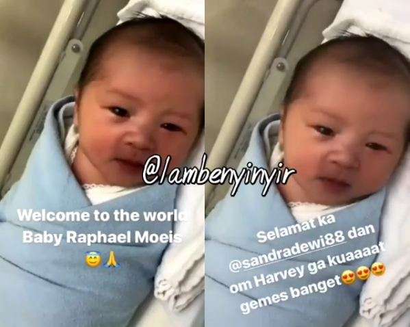 Potret Gantengnya Raphael Moeis, Bayi Sandra Dewi 