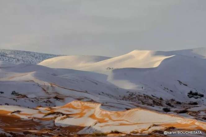 Langka! Potret Menakjubkan Salju Turun di Gurun Sahara