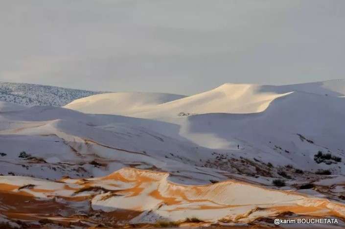Langka! Potret Menakjubkan Salju Turun di Gurun Sahara