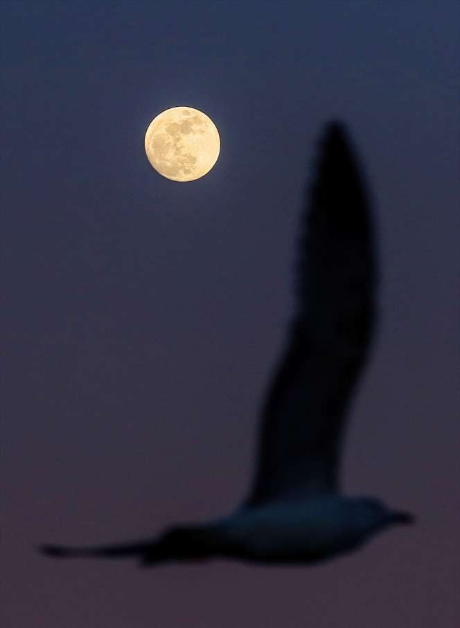 Indahnya Bulan Purnama di Langit Turki
