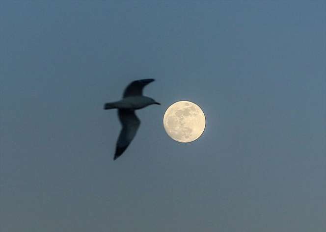 Indahnya Bulan Purnama di Langit Turki