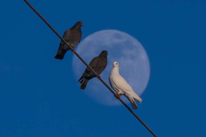 Indahnya Bulan Purnama di Langit Turki