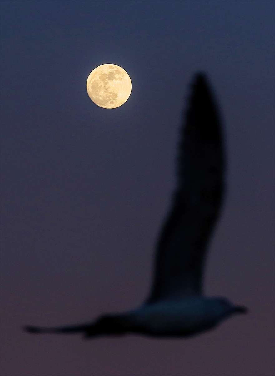 Indahnya Bulan Purnama di Langit Turki