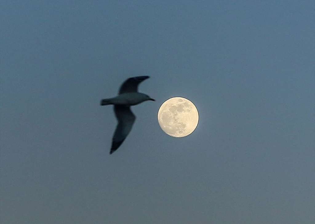 Indahnya Bulan Purnama di Langit Turki